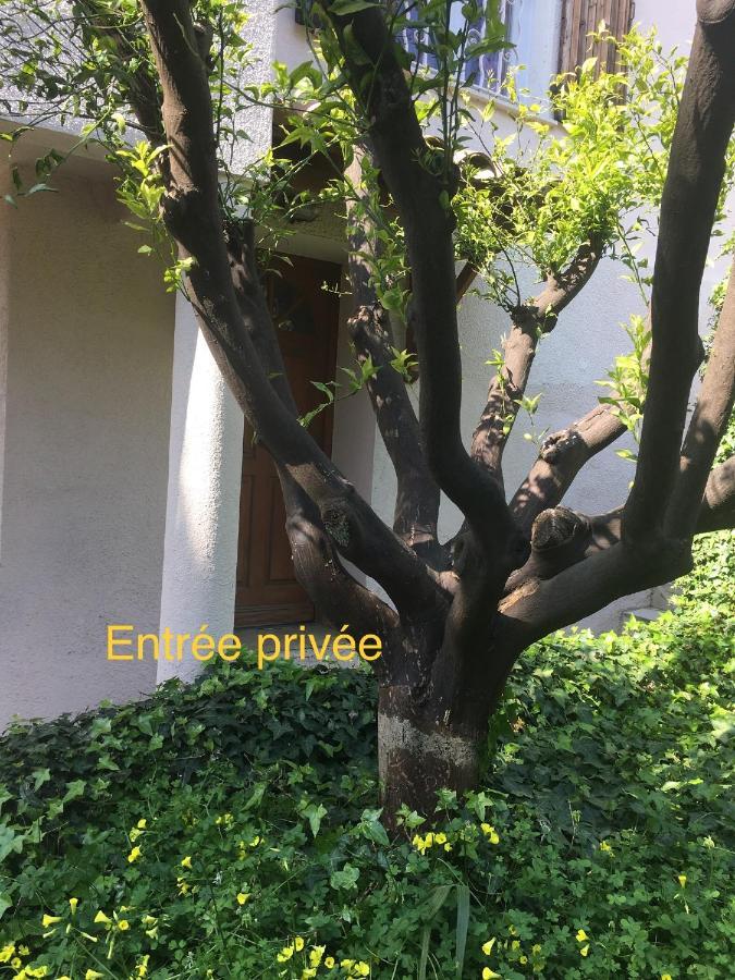 La Nectarine Ξενοδοχείο Νίκαια Εξωτερικό φωτογραφία